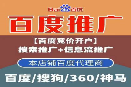 SEM竞价代运营：案例展示广告投放优化技巧
